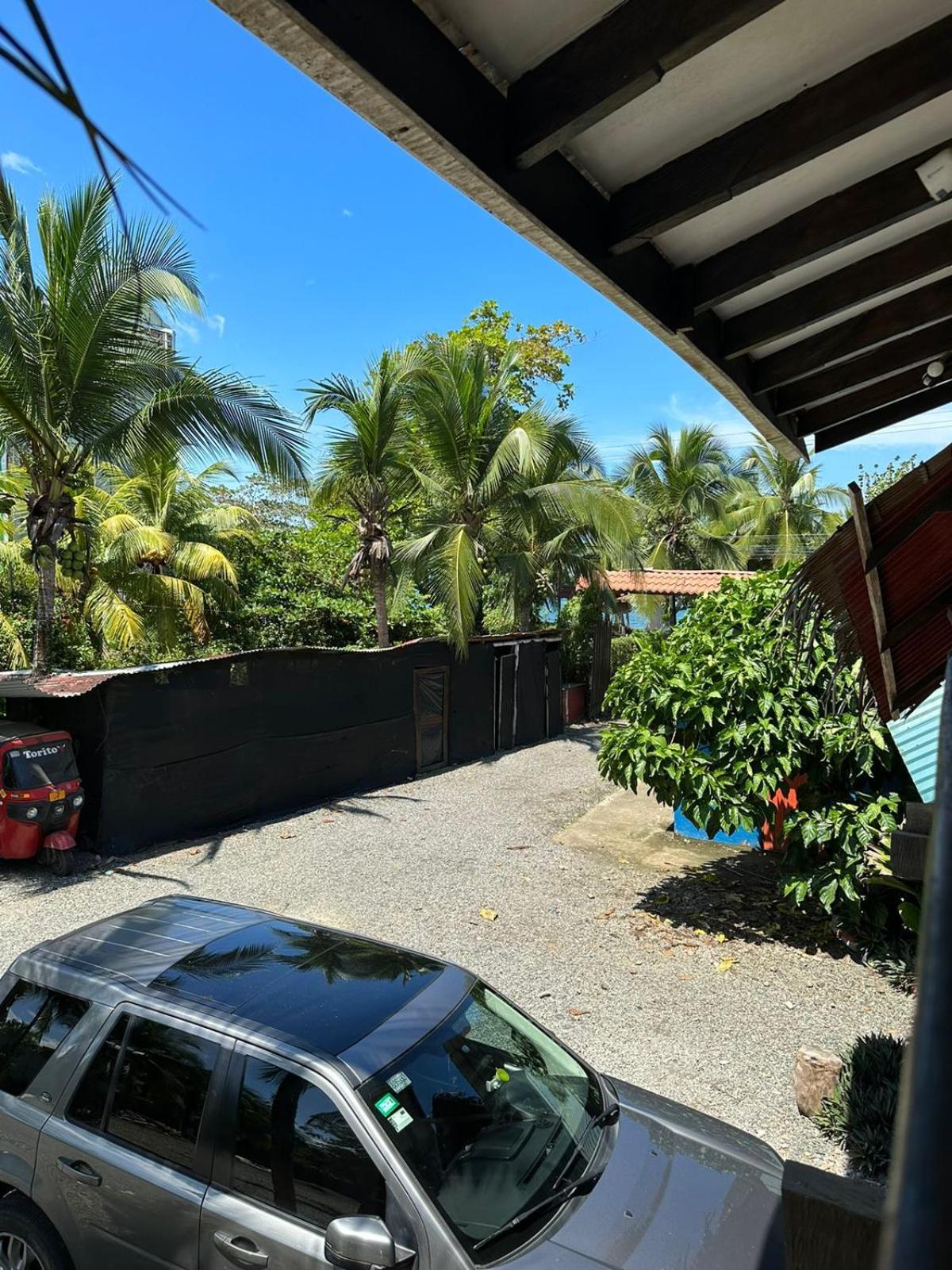 Playa Negra Brewing Beachfront Hotel Puerto Viejo de Talamanca Zewnętrze zdjęcie