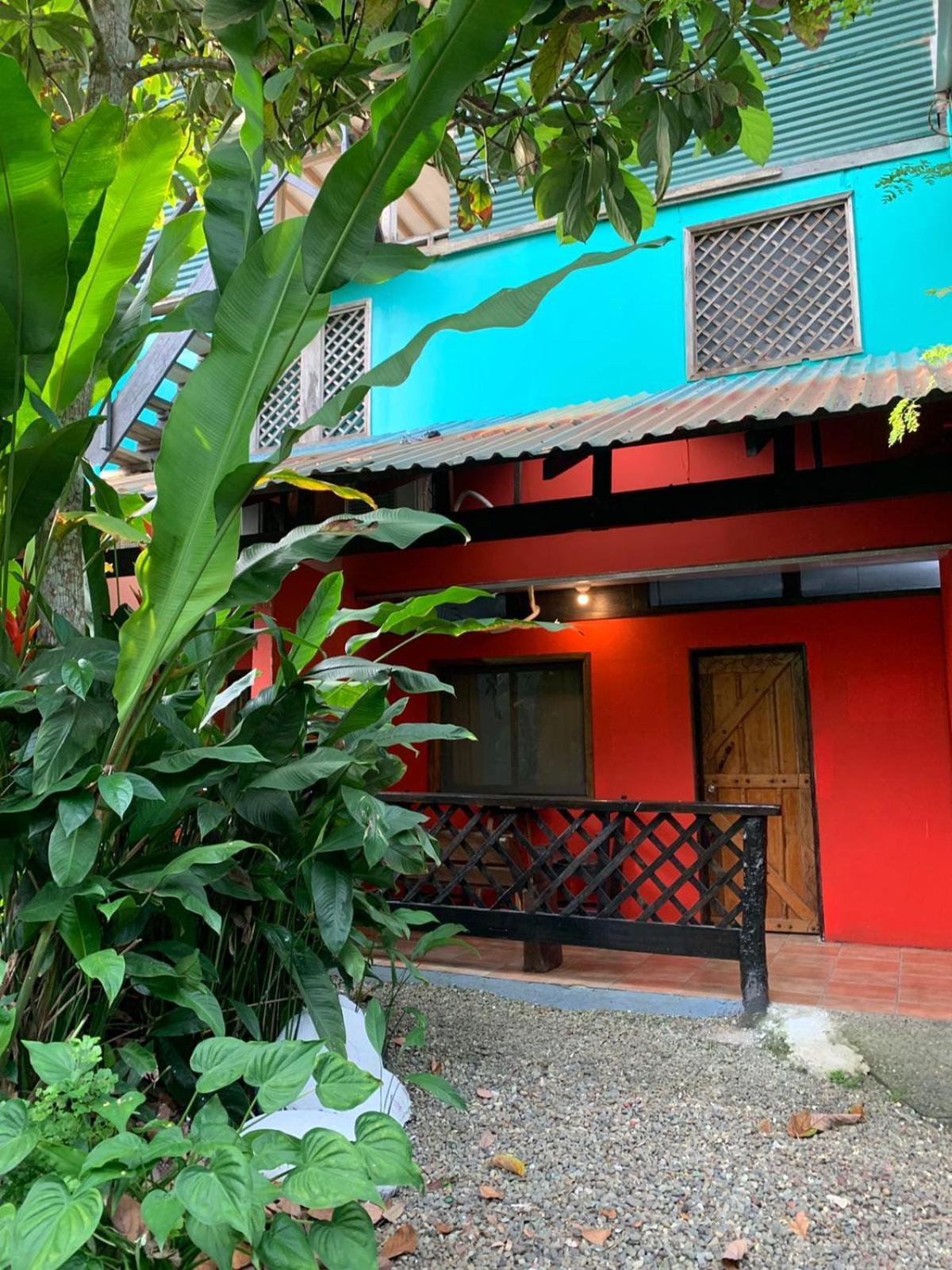 Playa Negra Brewing Beachfront Hotel Puerto Viejo de Talamanca Zewnętrze zdjęcie