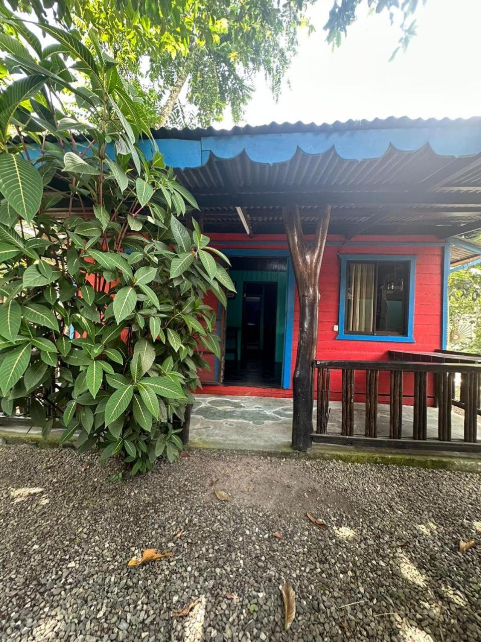 Playa Negra Brewing Beachfront Hotel Puerto Viejo de Talamanca Zewnętrze zdjęcie