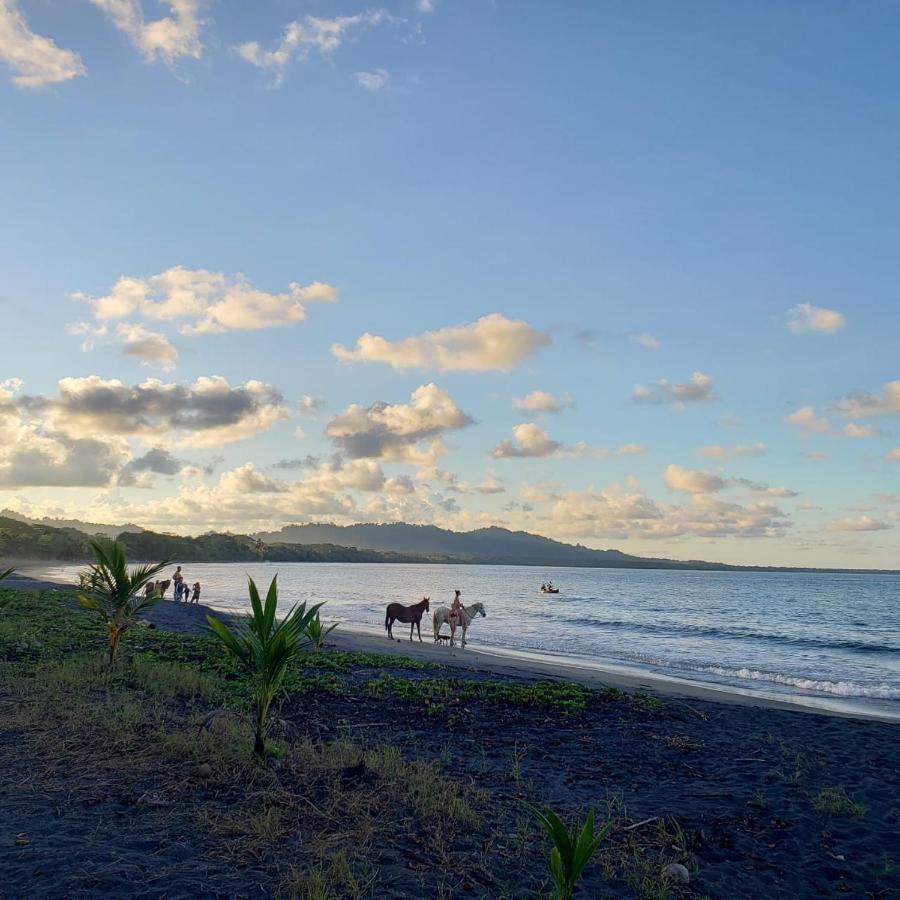 Playa Negra Brewing Beachfront Hotel Puerto Viejo de Talamanca Zewnętrze zdjęcie
